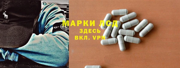 крисы Зеленокумск