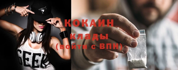 крисы Зеленокумск