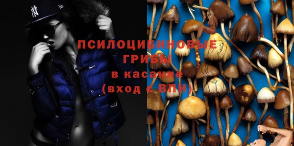 мет Зеленодольск
