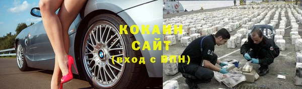 крисы Зеленокумск