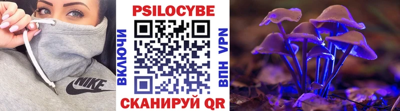 Купить где  Вичуга  Галлюциногенные грибы мицелий 